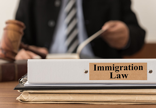 Your Trusted Immigration Law Firm In South Florida, FL